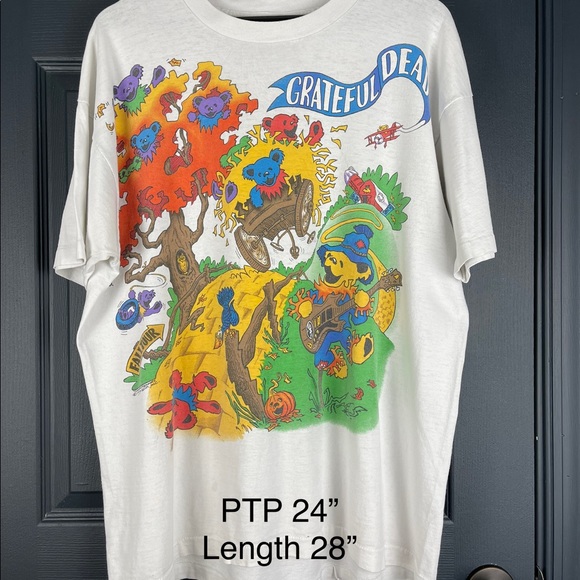 Vintage 93 Grateful Dead Fall Tour Shirt in XL